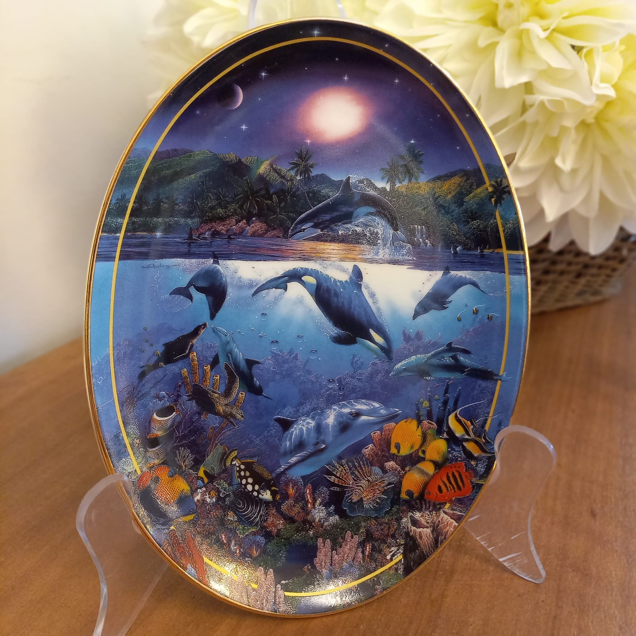 The main photo for /Assets/img/items/e0fb69be-f6a9-4d1a-9c00-19ad4179da11_1c503962-8e33-499f-bc1c-0a2965495a87.jpg